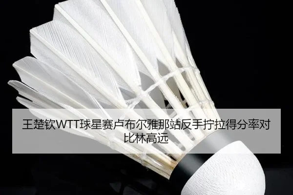 王楚钦WTT球星赛卢布尔雅那站反手拧拉得分率对比林高远